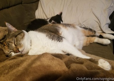 sqregina onlyfans sextape leak