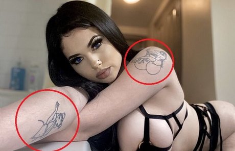 colvincherry  snapshot