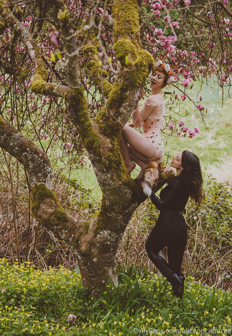 aliceoncamfree onlyfans leaks