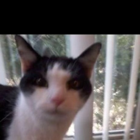 Super mario gaxelly leaked onlyfans naked