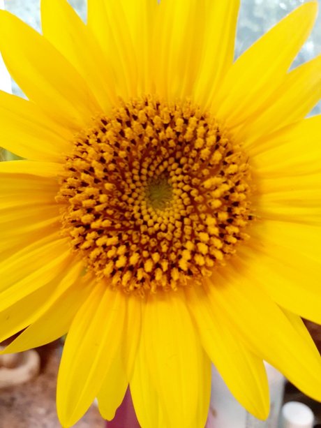 BarefootSpirit only fans