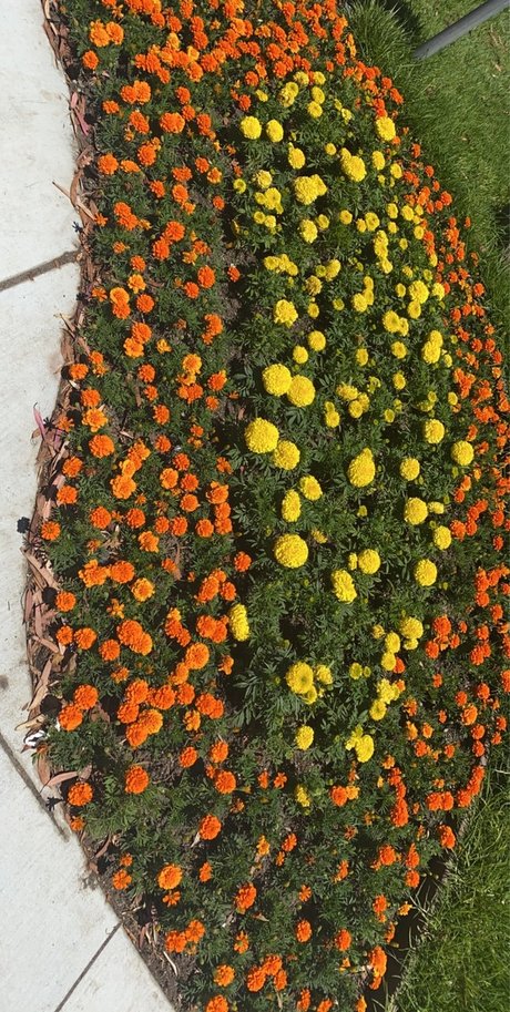 Mycoolstar new onlyfans