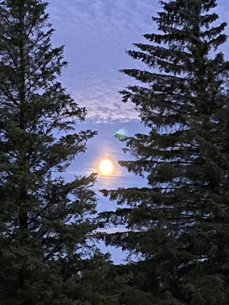 Alexander Bach on onlyfans