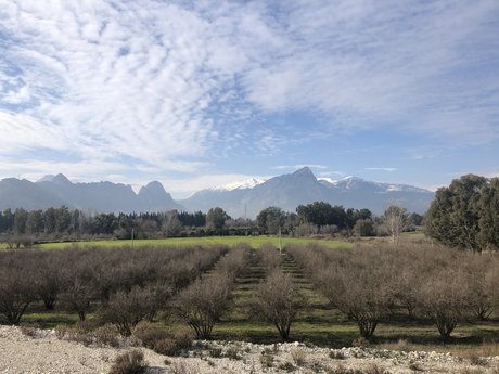 Antalya Bisex feet onlyfans