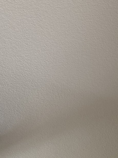 MichellexO onlyfans porno