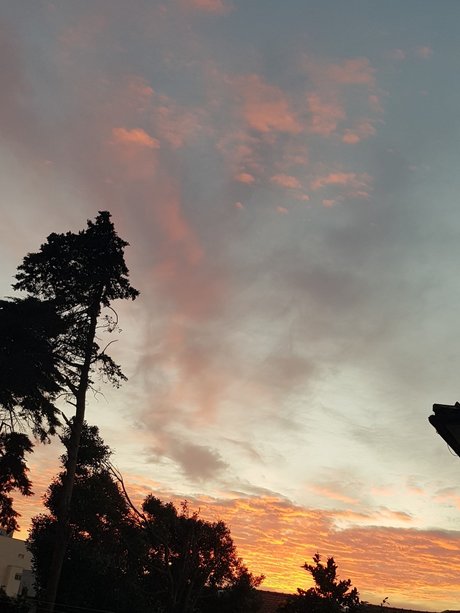 Cardoso onlyfans tits