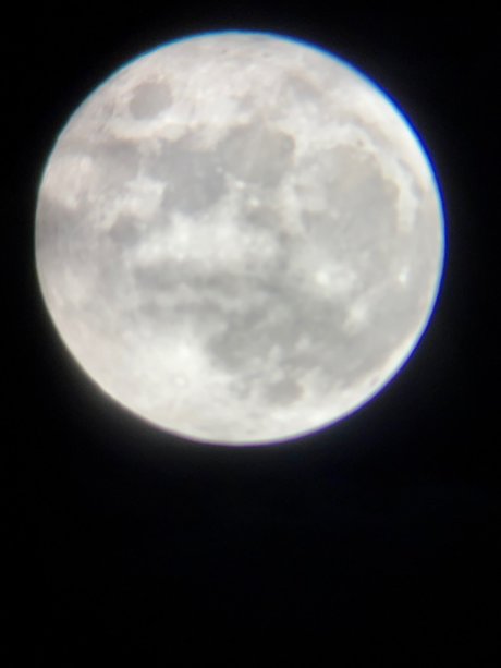 mina rose_ nude onlyfans pics