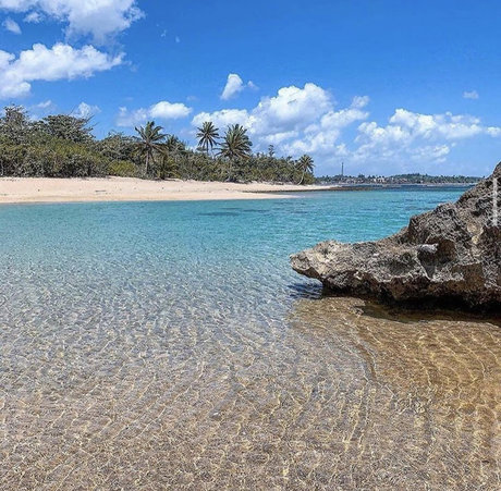 Caribbean Boy_ onlyfans for free