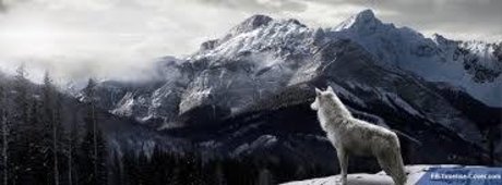 Chad Mordecai onlyfans gratis