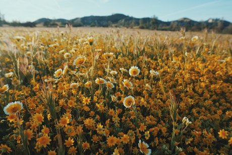 Minu foxy_ onlyfans sexy