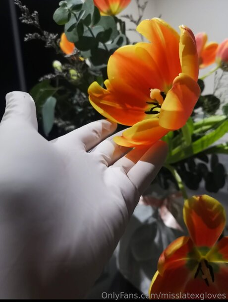 Miss Latex GLoves onlyfans nudes