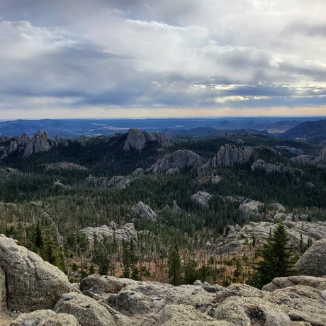 DaisyDuchess onlyfans pics