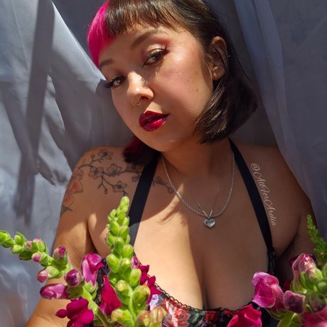 a r e l i a CLOSED FIND ME ON LF_  visuals