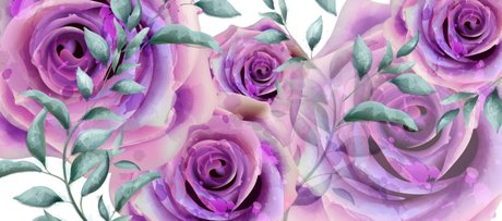 Miss Vera Rose only fans