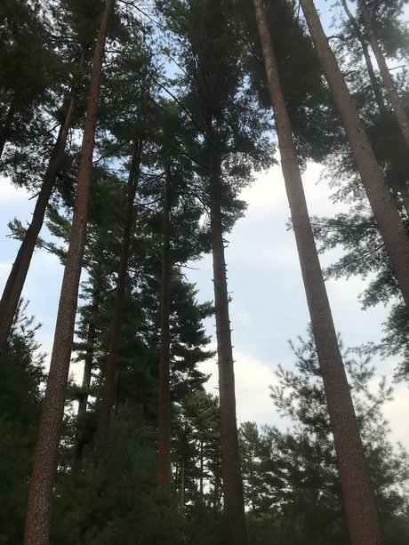 Alexandra Quinn  still