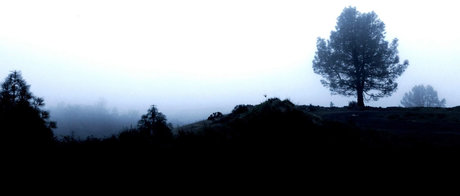 Jayjayjayx onlyfans leak new