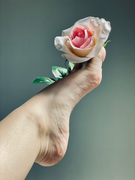 HoneyToes onlyfans leaks