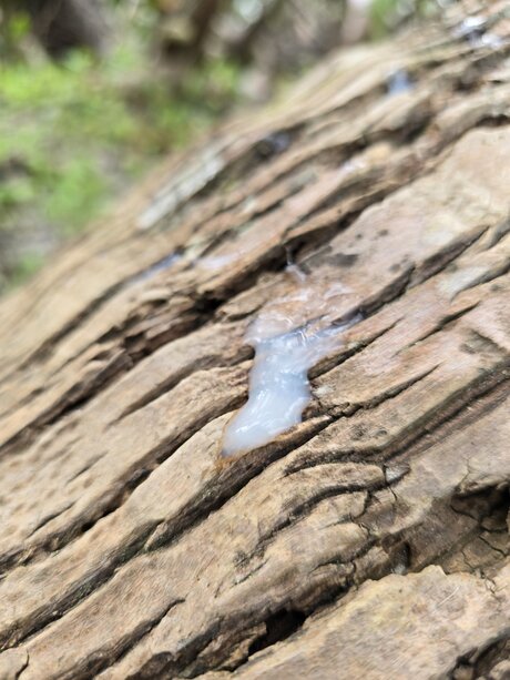 Jaden Big onlyfans leak new