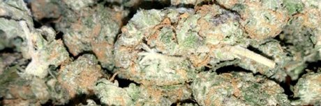 moneychaser517 nudes onlyfans leak