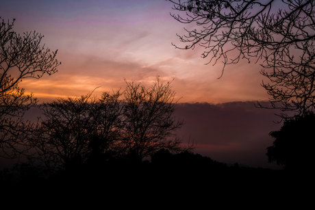 Jojo Kat onlyfans model