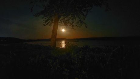 MrDreamCumTru81 leak onlyfans porn