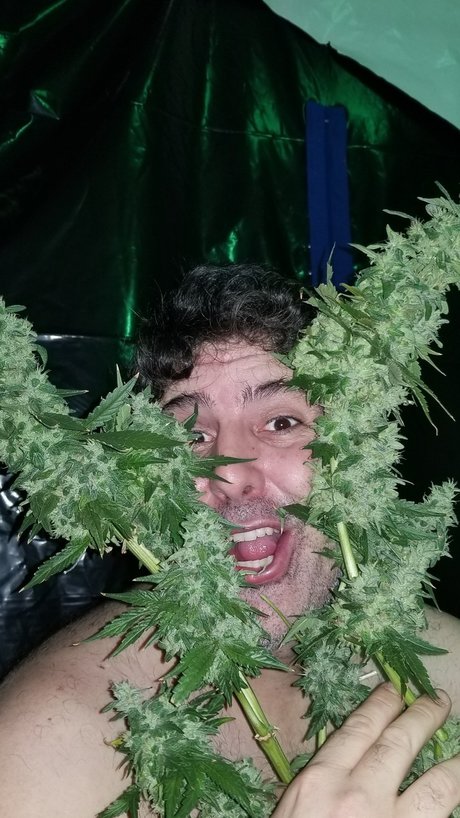 Al13N onlyfans leak nude