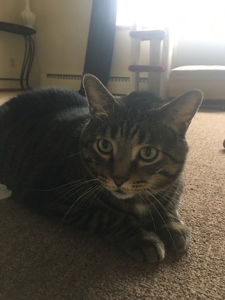 herb1982 onlyfans naked leaks