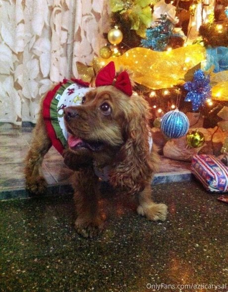 muscle girls onlyfans adult plate