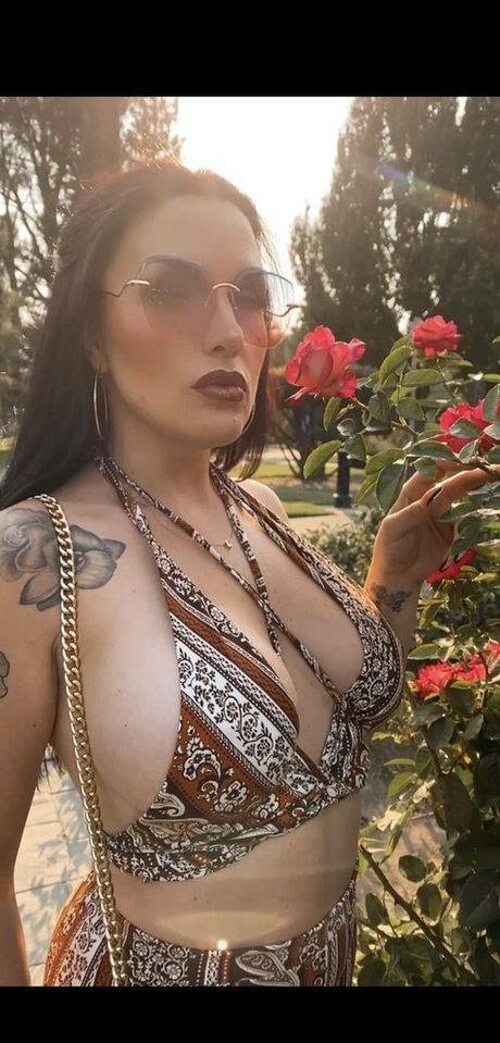 hdexperience onlyfans archives