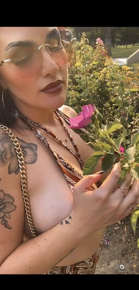 hdexperience onlyfans leaked