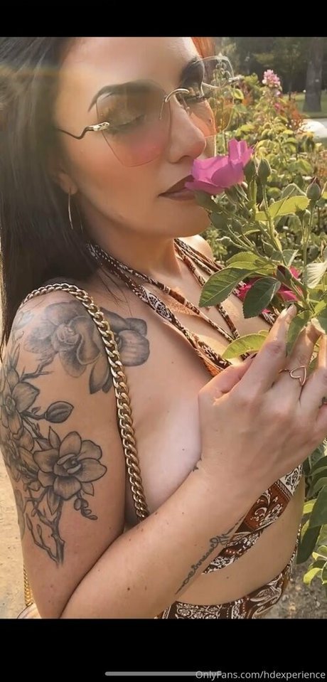 hdexperience free only fans