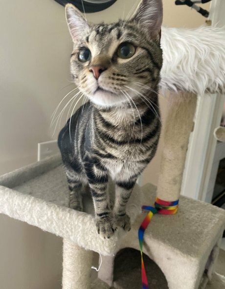 savanahroses onlyfans sex