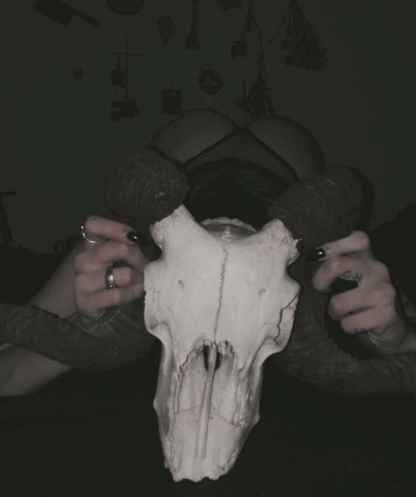 Fleshf1y leaked only fans