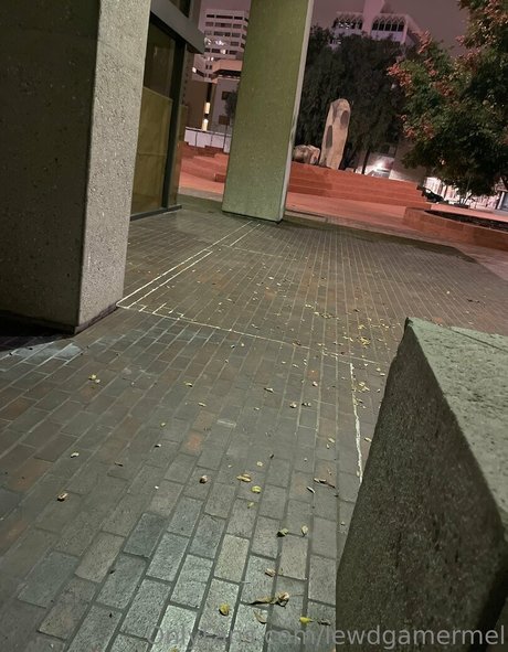 lewdgamermel onlyfans naked leak