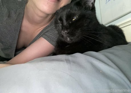 lewdgamermel onlyfans archives