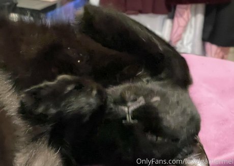 lewdgamermel only fans leaked porn