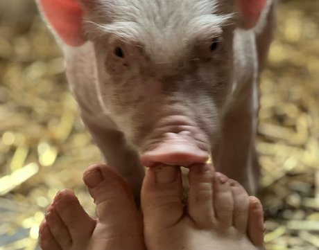 asmr sensual onlyfans best self-portrait