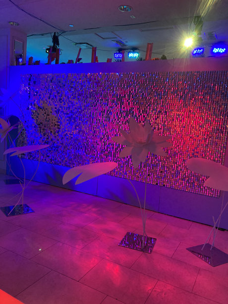 Sophia Banks onlyfans leaked sex