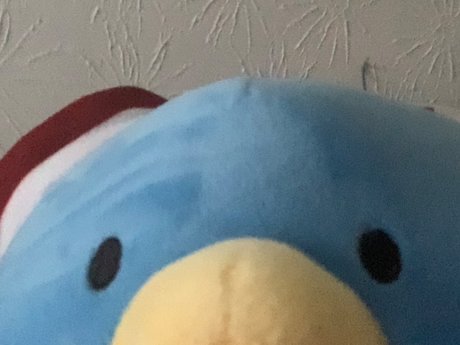 Micah he him_ onlyfans lesk