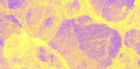 Emmy D onlyfans strip