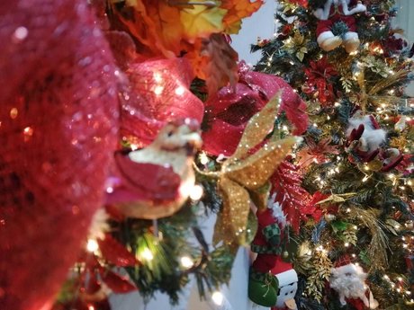 Darling Inoa nude porn onlyfans