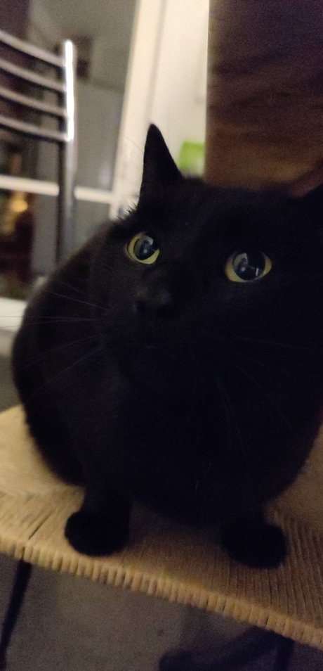 Noel Picar only fans leaked porn