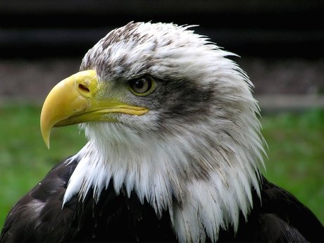 Tiffani_ leak onlyfans nude