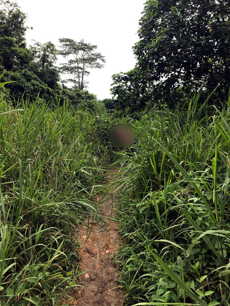 Dashy boobs onlyfans