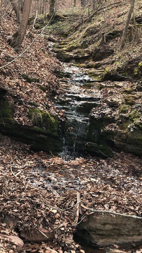 Z0R0D0M onlyfans leaked.