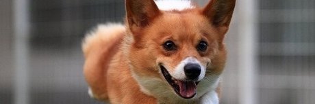 Summer Horror Party onlyfans porn leaks