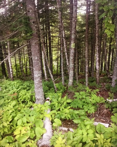 Chrissy_ sex onlyfans