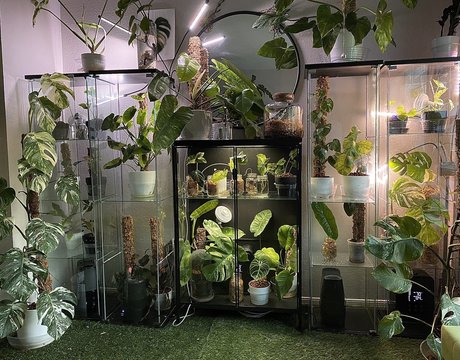 CrashXXX leaked only fans nudes