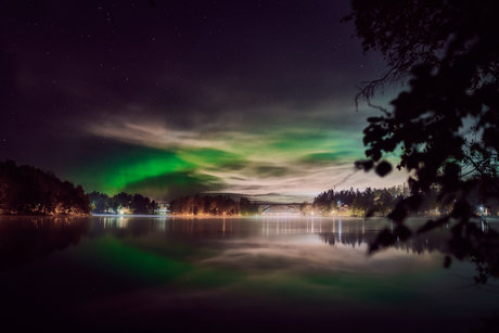 Neonerotic onlyfans topless