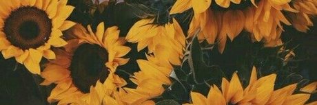 dear sydney onlyfans nudes